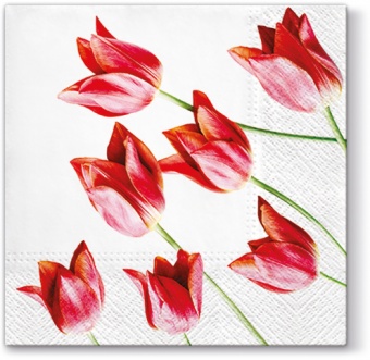 Pl obrúsky červené tulipány