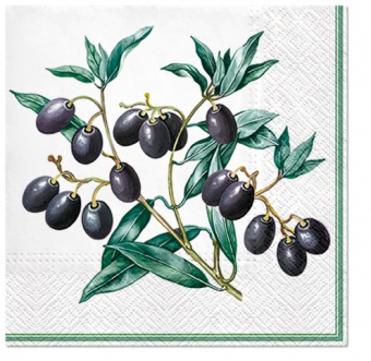 En obrúsky olivy s rámom