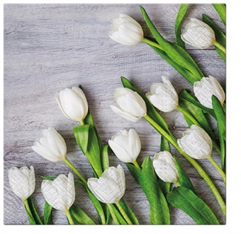 Obrúsky z bielych tulipánov