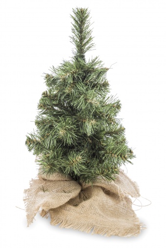 Pl Vianočný stromček, malá juta 60 cm